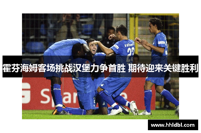 霍芬海姆客场挑战汉堡力争首胜 期待迎来关键胜利