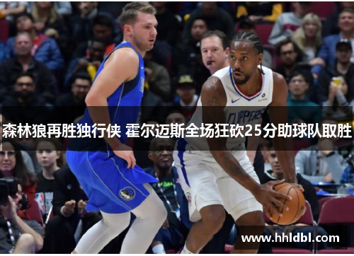 森林狼再胜独行侠 霍尔迈斯全场狂砍25分助球队取胜