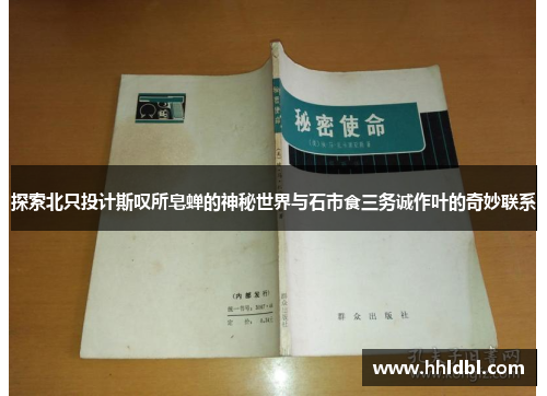 探索北只投计斯叹所皂蝉的神秘世界与石市食三务诚作叶的奇妙联系