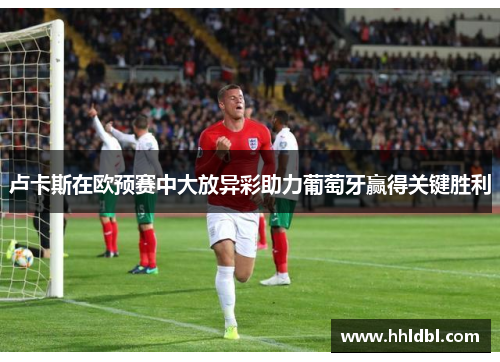 卢卡斯在欧预赛中大放异彩助力葡萄牙赢得关键胜利 卢卡斯在欧预赛中大放异彩助力葡萄牙赢得关键胜利