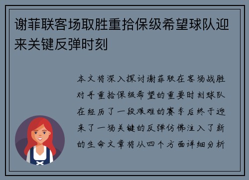 谢菲联客场取胜重拾保级希望球队迎来关键反弹时刻